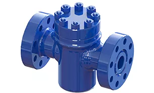 Check Valve